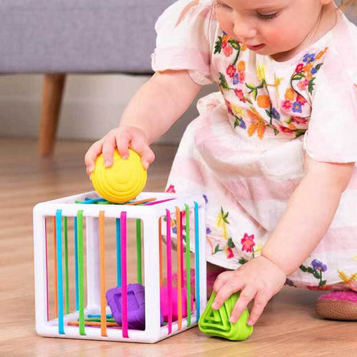 Early Education Color Cognitive Hand Sensory Training Toy | Shinymarch