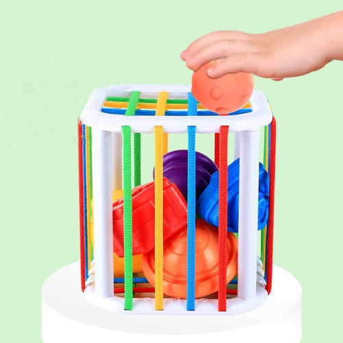 Early Education Color Cognitive Hand Sensory Training Toy | Shinymarch